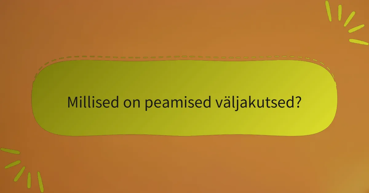 Millised on peamised väljakutsed?